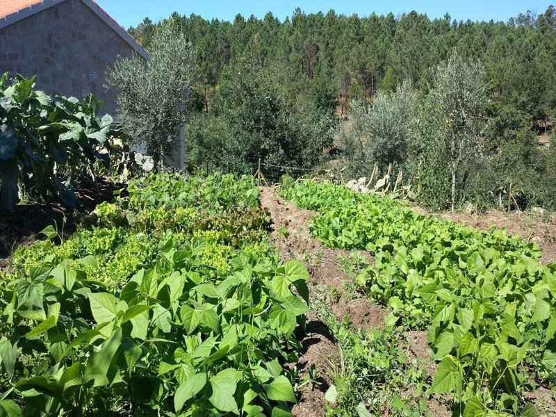 Pensjonat I Love Dao Casas Da Fraga São Gemil Zewnętrze zdjęcie